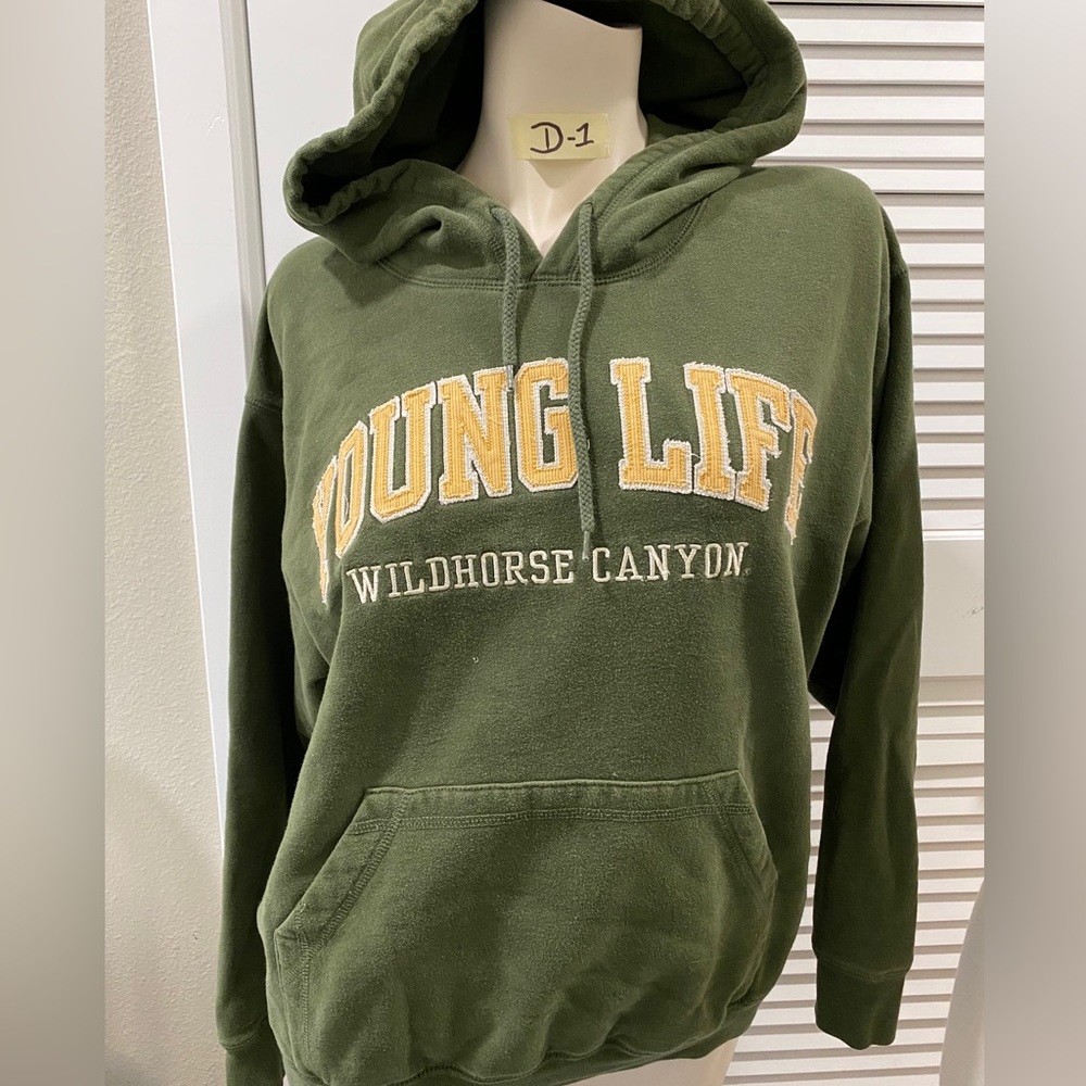 🔥🔥Sweatshirt hoodie size small. Young Life Wild Horse Canyon